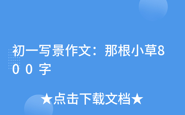 һģǸС800
