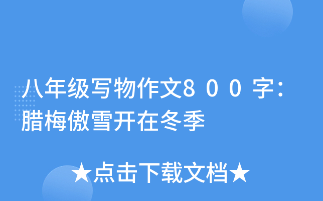 꼉(j)(xi)800֣D÷ѩ_(ki)ڶ