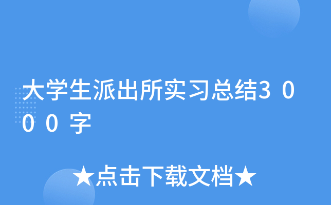 大开云kaiyun(中国)生派出所实习总结3000字