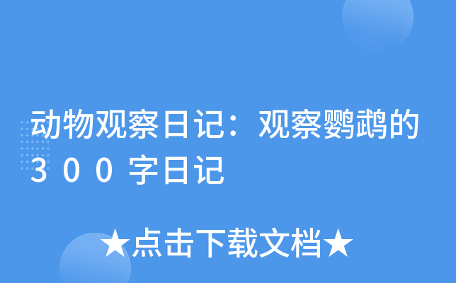 动物观察日记：观察鹦鹉的300字日记