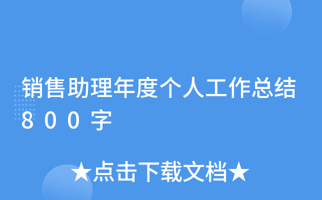 销售助理年度个人工作总结800字