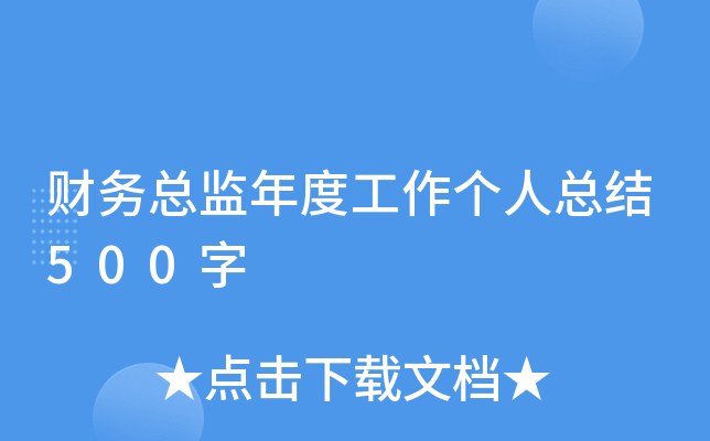 财务总监年度工作个人总结500字