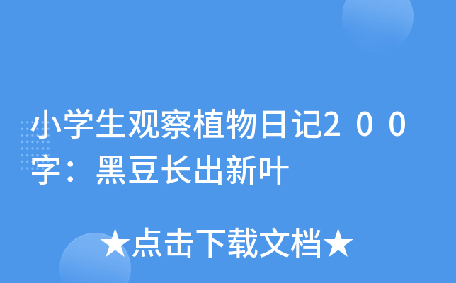 СW(xu)^ֲӛ200֣ڶL~