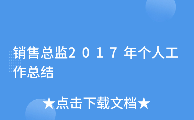 销售总监2017年个人工作总结