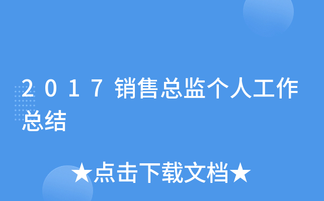 2017销售总监个人工作总结