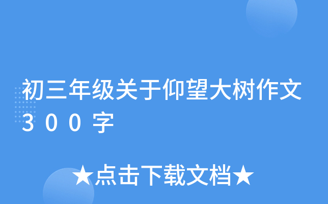 꼉P300