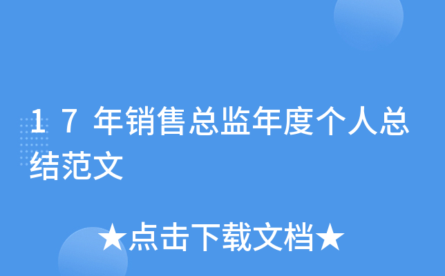 17年销售总监年度个人总结范文