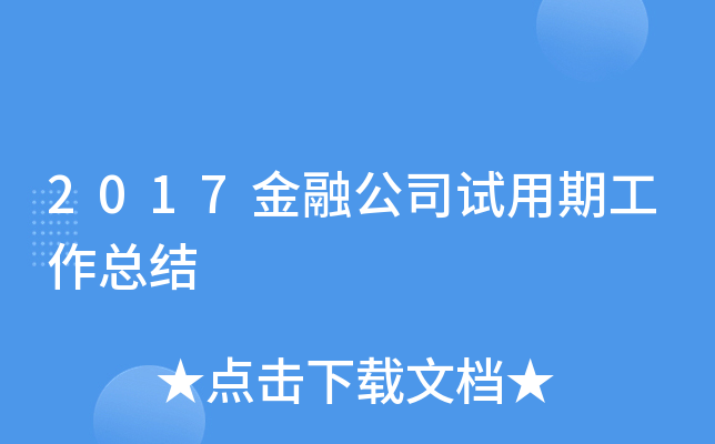 2017金融公司试用期工作总结