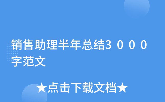 销售助理半年总结3000字范文