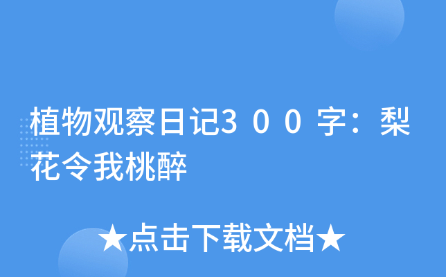 ֲ^ӛ300֣滨