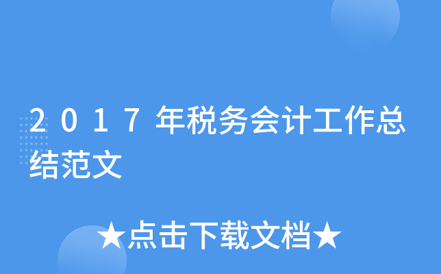 2017年税务会计工作总结范文