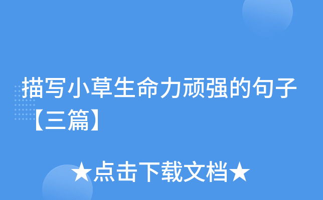 茑СBľӡƪ