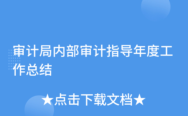审计局内部审计指导年度工作总结
