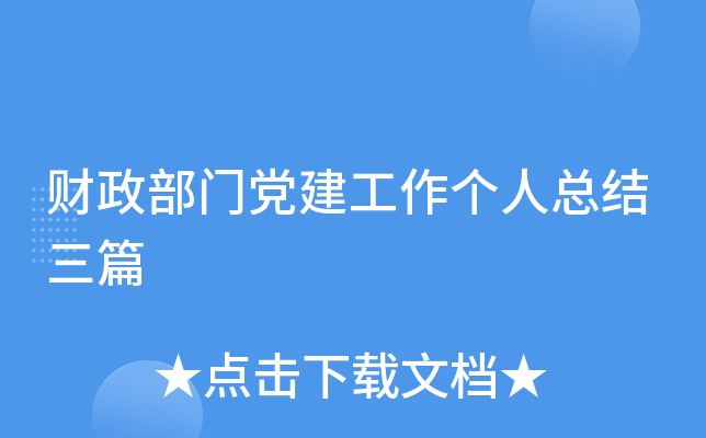 财政部门党建工作个人总结三篇