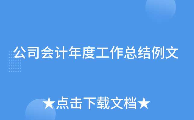 公司会计年度工作总结例文