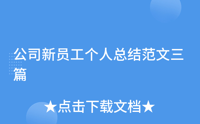 公司新员工个人总结范文三篇