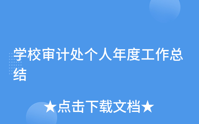 开云kaiyun(中国)校审计处个人年度工作总结