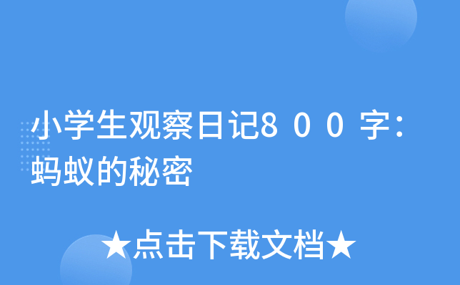 小学生观察日记800字：蚂蚁的秘密