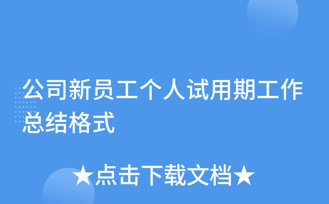公司新员工个人试用期工作总结格式