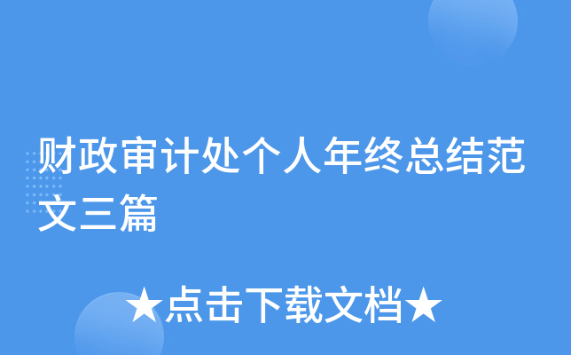 财政审计处个人年终总结范文三篇