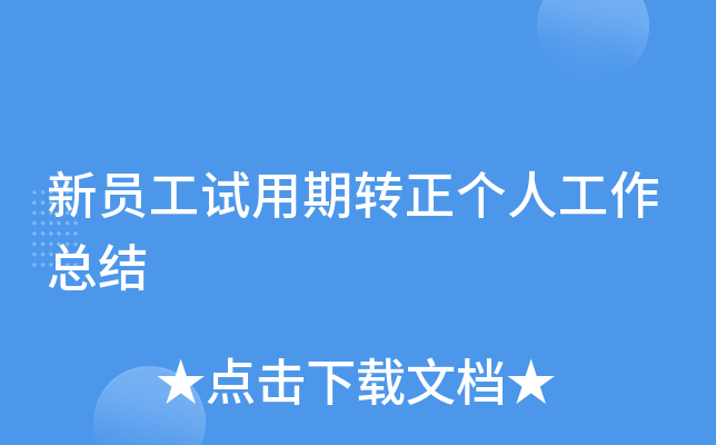 新员工试用期转正个人工作总结