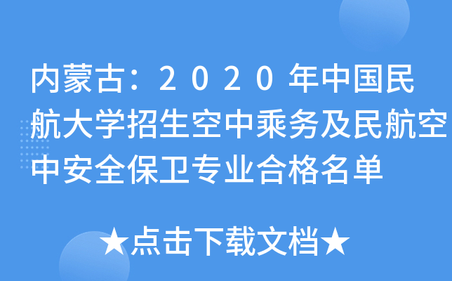(ni)ɹţ2020Ї񺽴W(xu)г˄(w)񺽿аȫl(wi)I(y)ϸ
