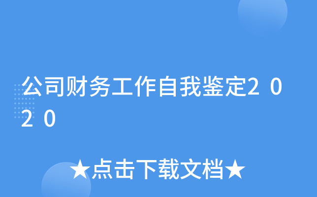 公司财务工作自我鉴定2020
